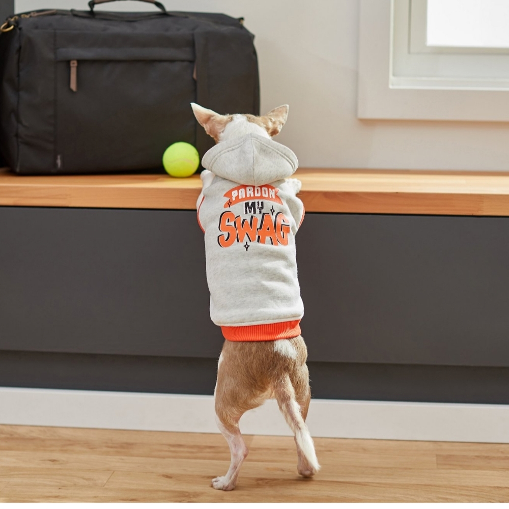 Pardon My Swag Dog Hoodie
